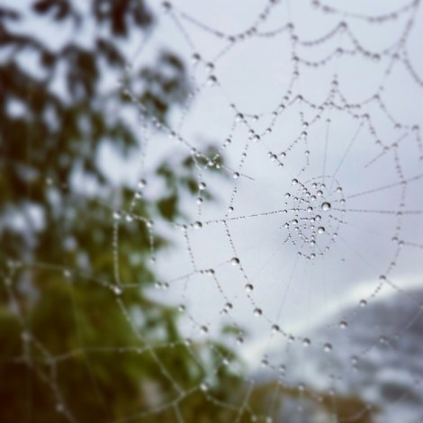 web